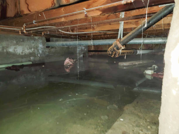 Best Emergency water damage restoration  in Whitney, NV