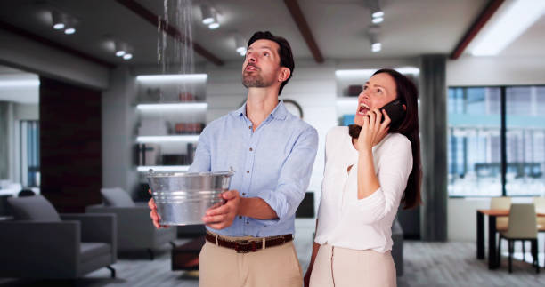 Best Water damage restoration specialists  in Whitney, NV